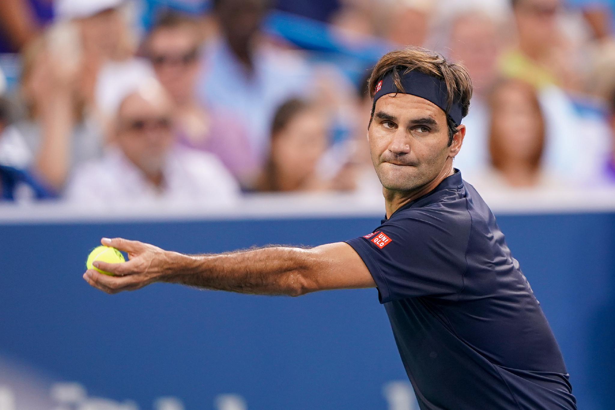 诺德和罗伯 诺德和罗伯